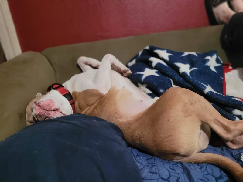 Georgie!! thumbnail 4