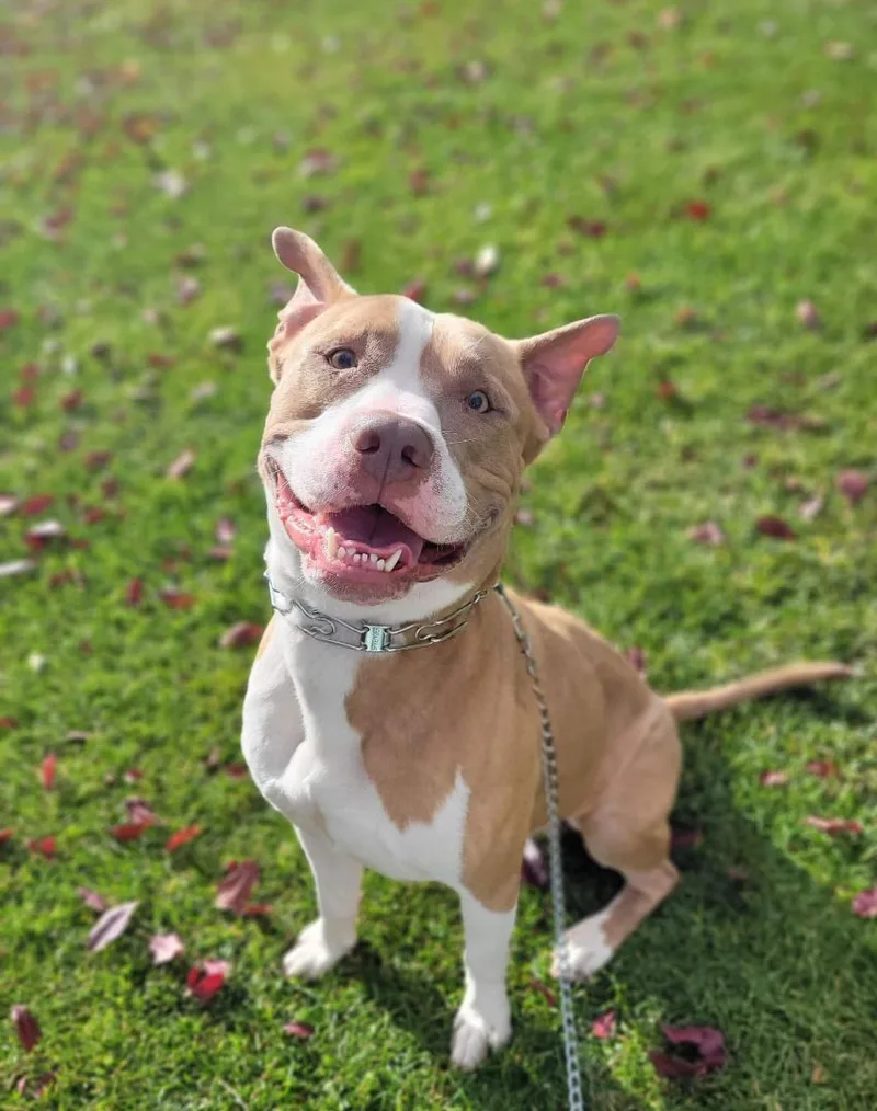 Georgie!! thumbnail 5