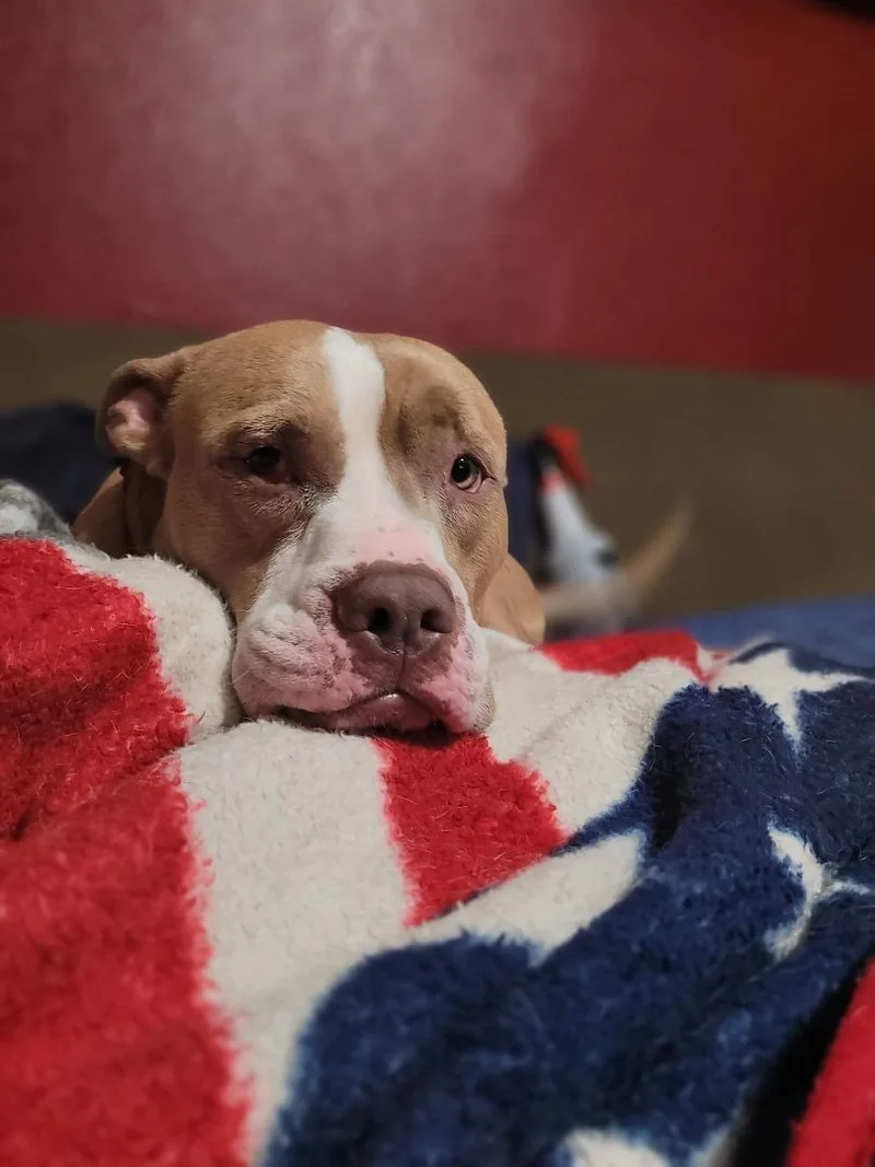 Georgie!! thumbnail 6