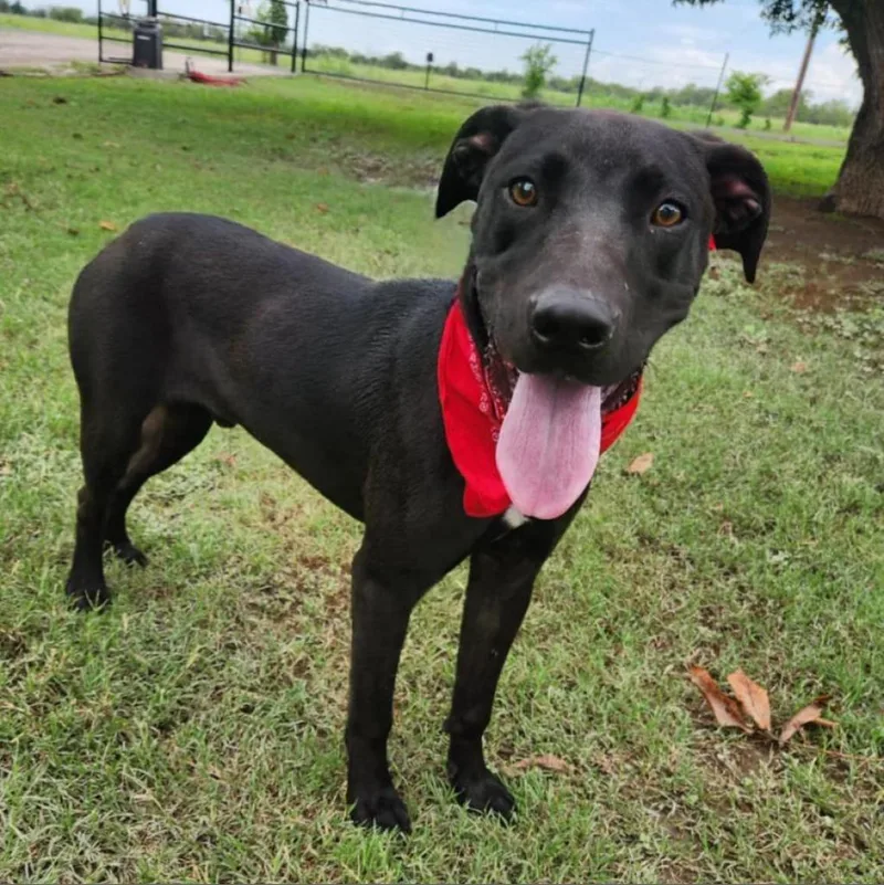 Oscar Jum thumbnail 2