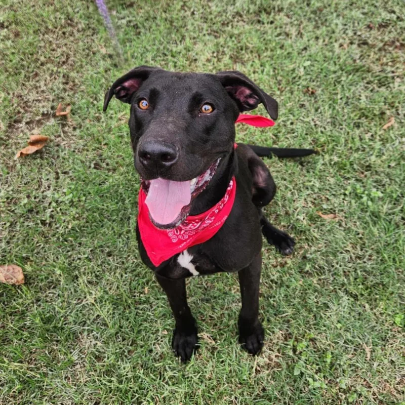 Oscar Jum thumbnail 3