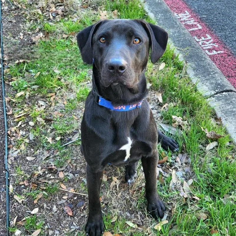 Oscar Jum thumbnail 4