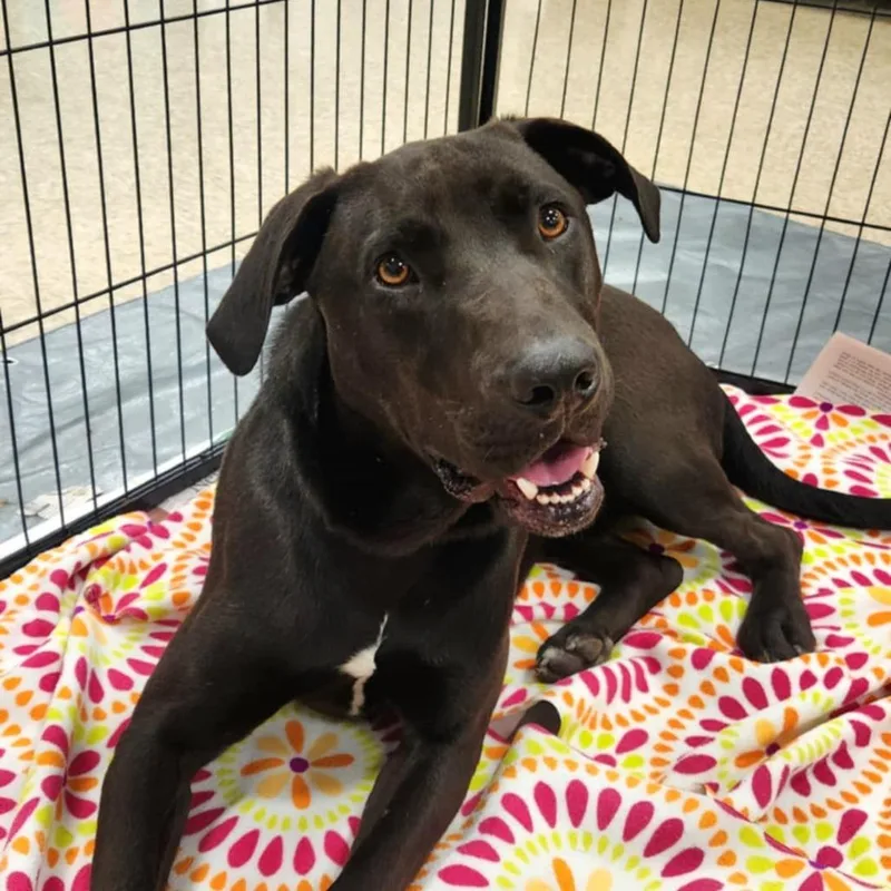 Oscar Jum thumbnail 5