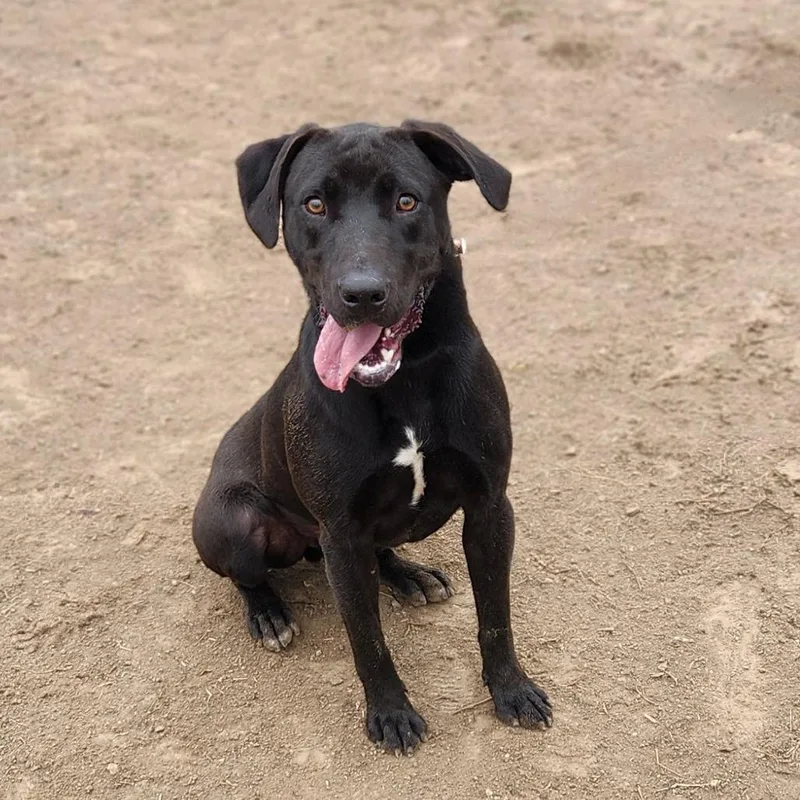 Oscar Jum thumbnail 6