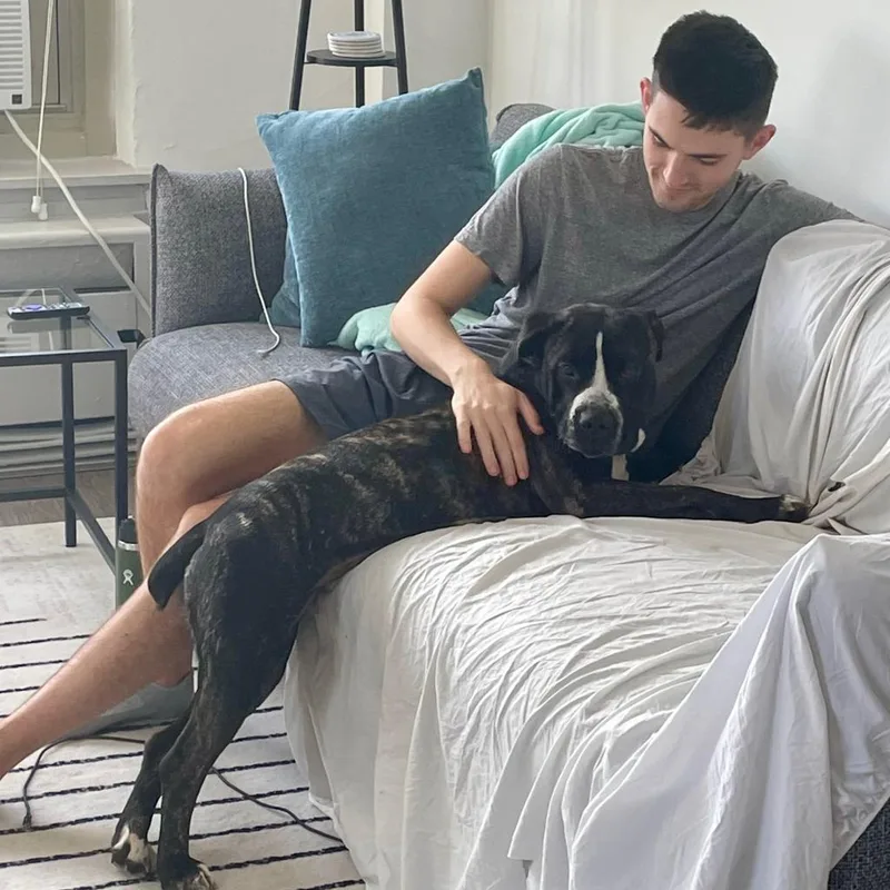 Dutchess thumbnail 6