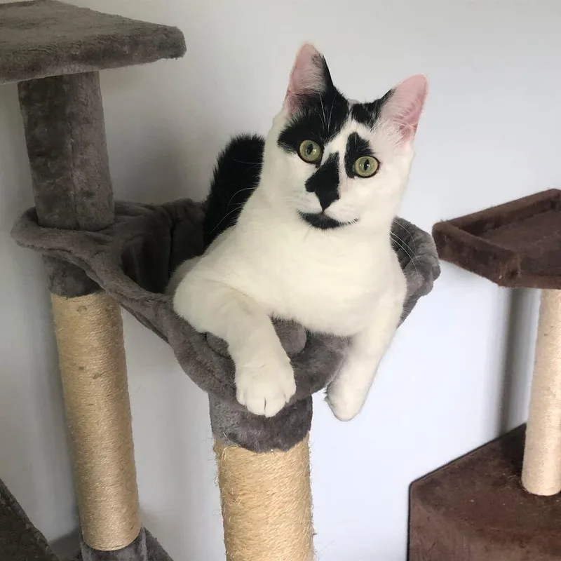 Lord Country Club thumbnail 3