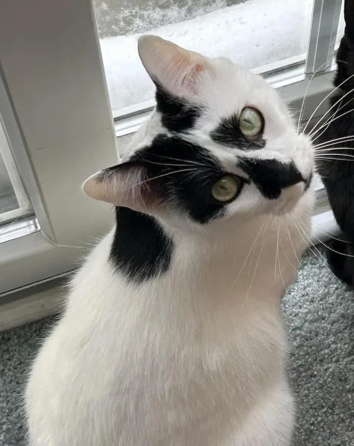 Lord Country Club thumbnail 4