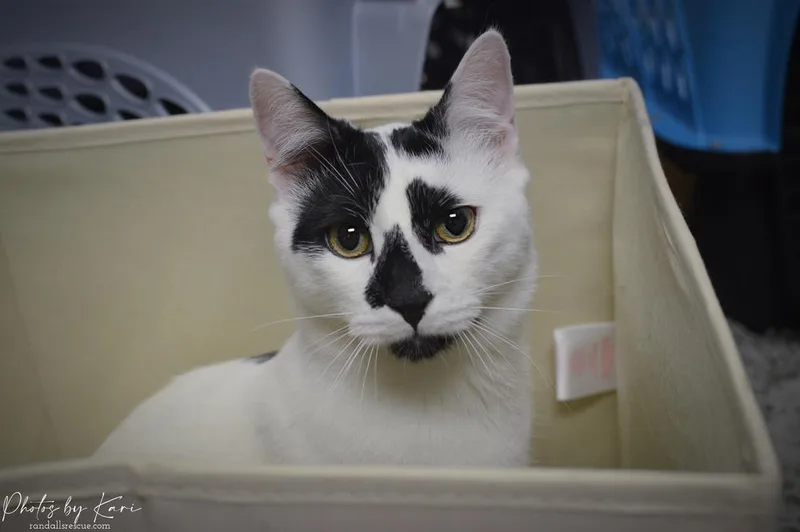 Lord Country Club thumbnail 6