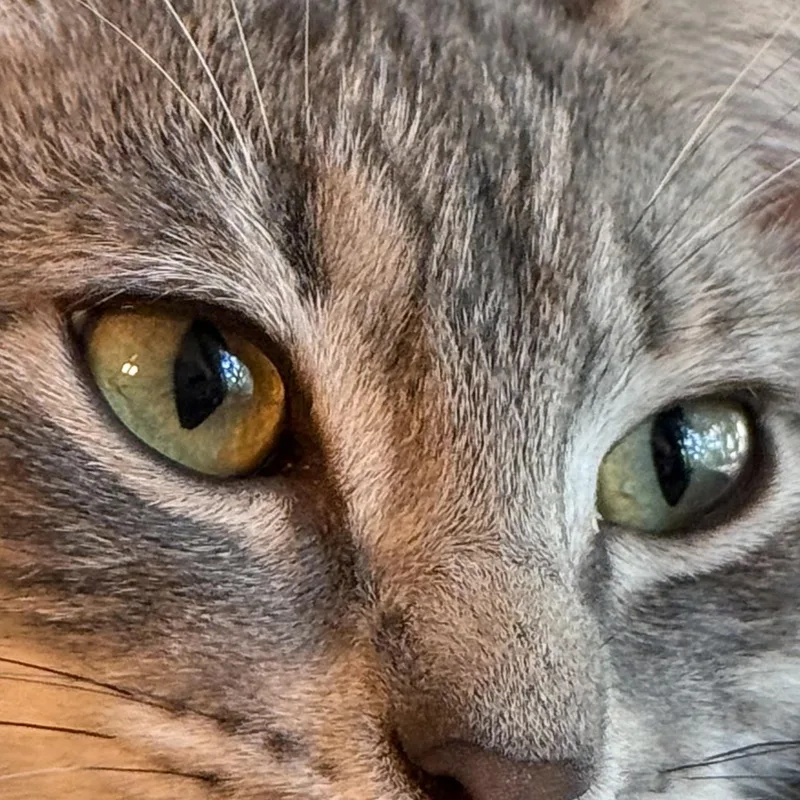 Betty thumbnail 2