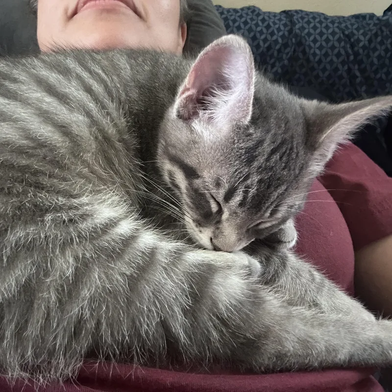 Peanut thumbnail 3
