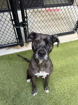 Little Foot thumbnail 3