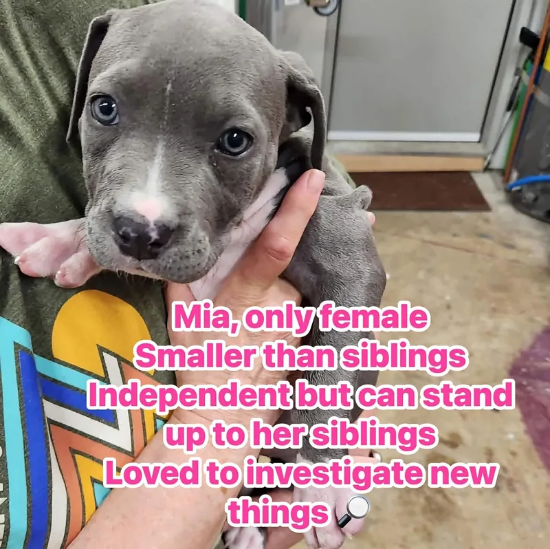 Mia