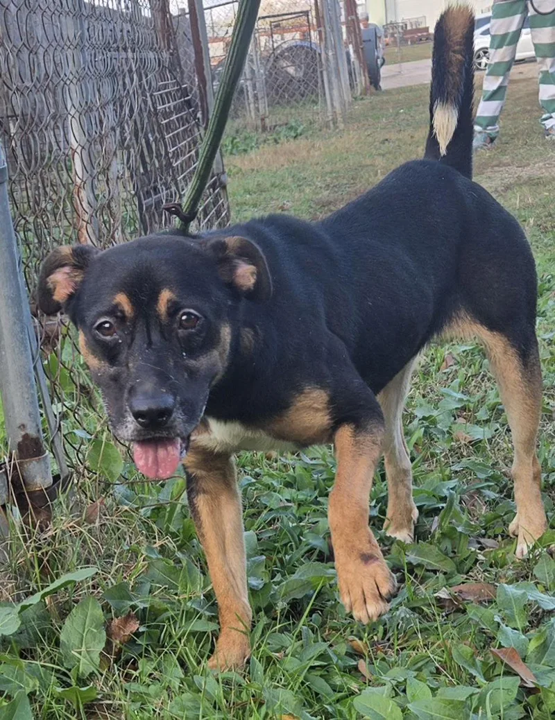 Little Miss thumbnail 2