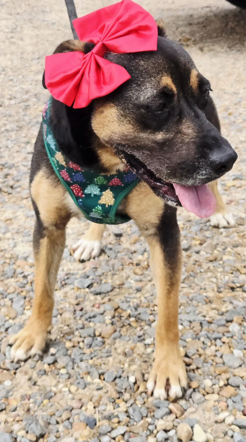 Little Miss thumbnail 3