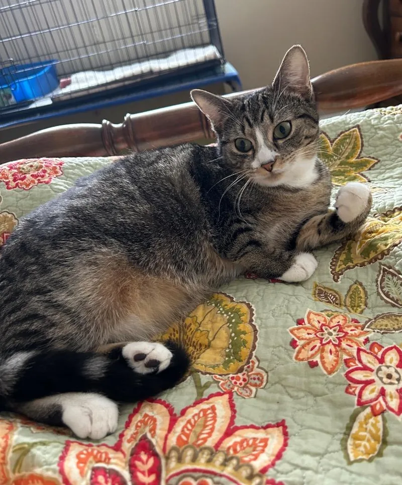 Scarlet Bonded With Riley thumbnail 5