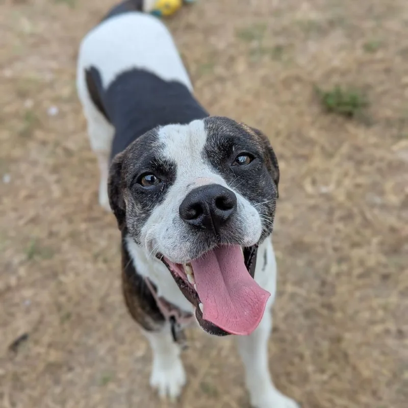 This Is Sparta! thumbnail 3