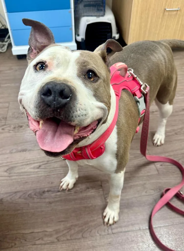 Luna Mae