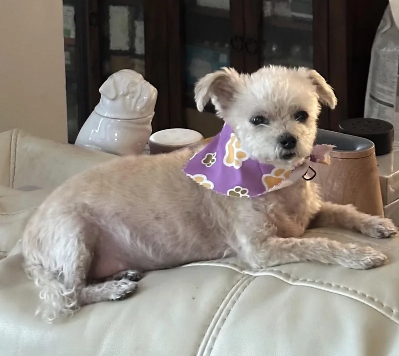Maddie thumbnail 2