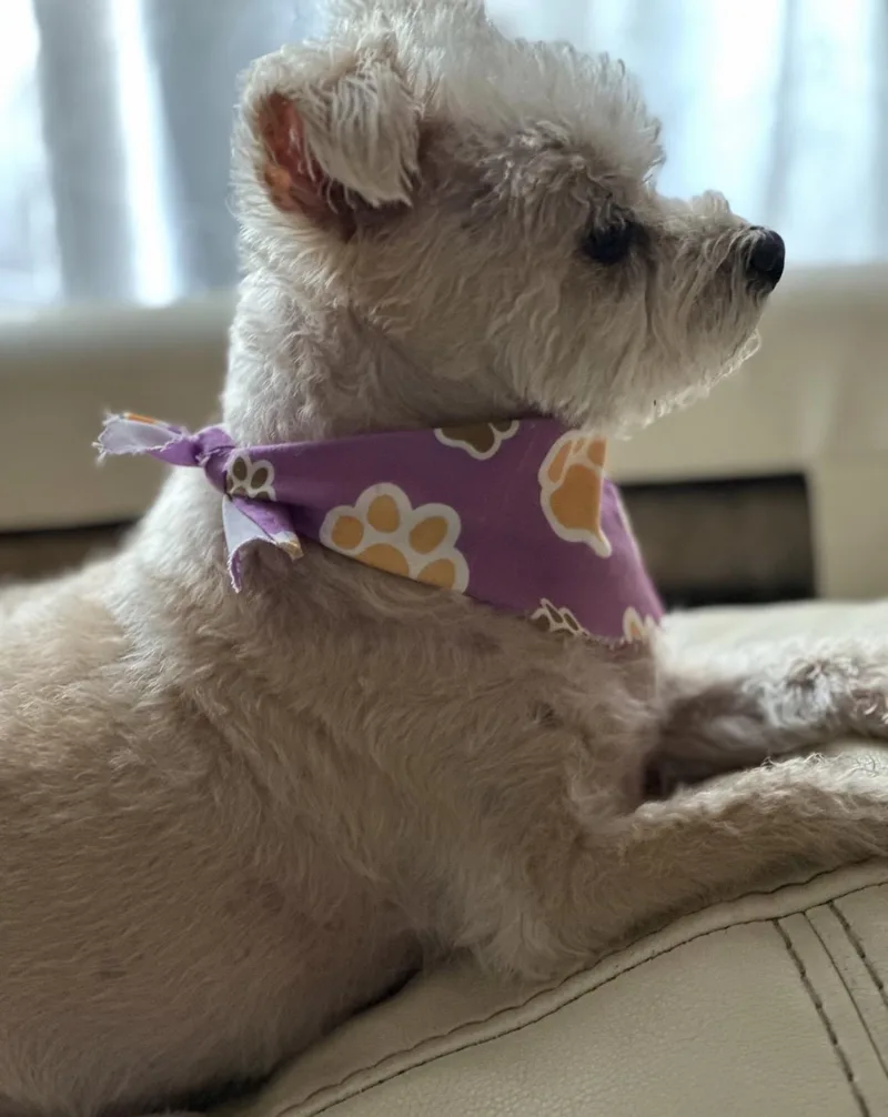 Maddie thumbnail 3