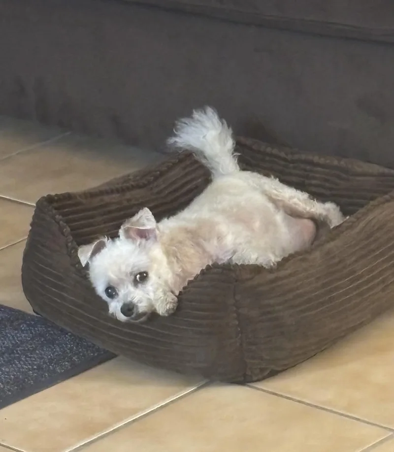 Maddie thumbnail 5