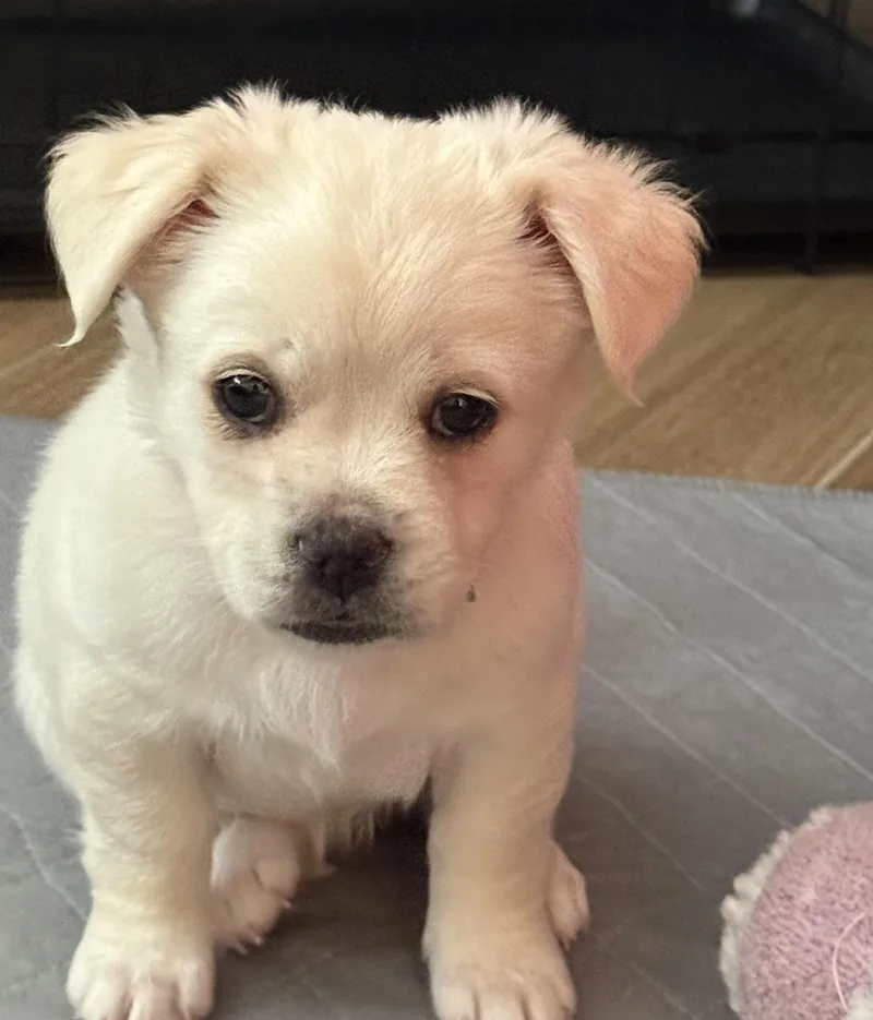 Eloise thumbnail 2