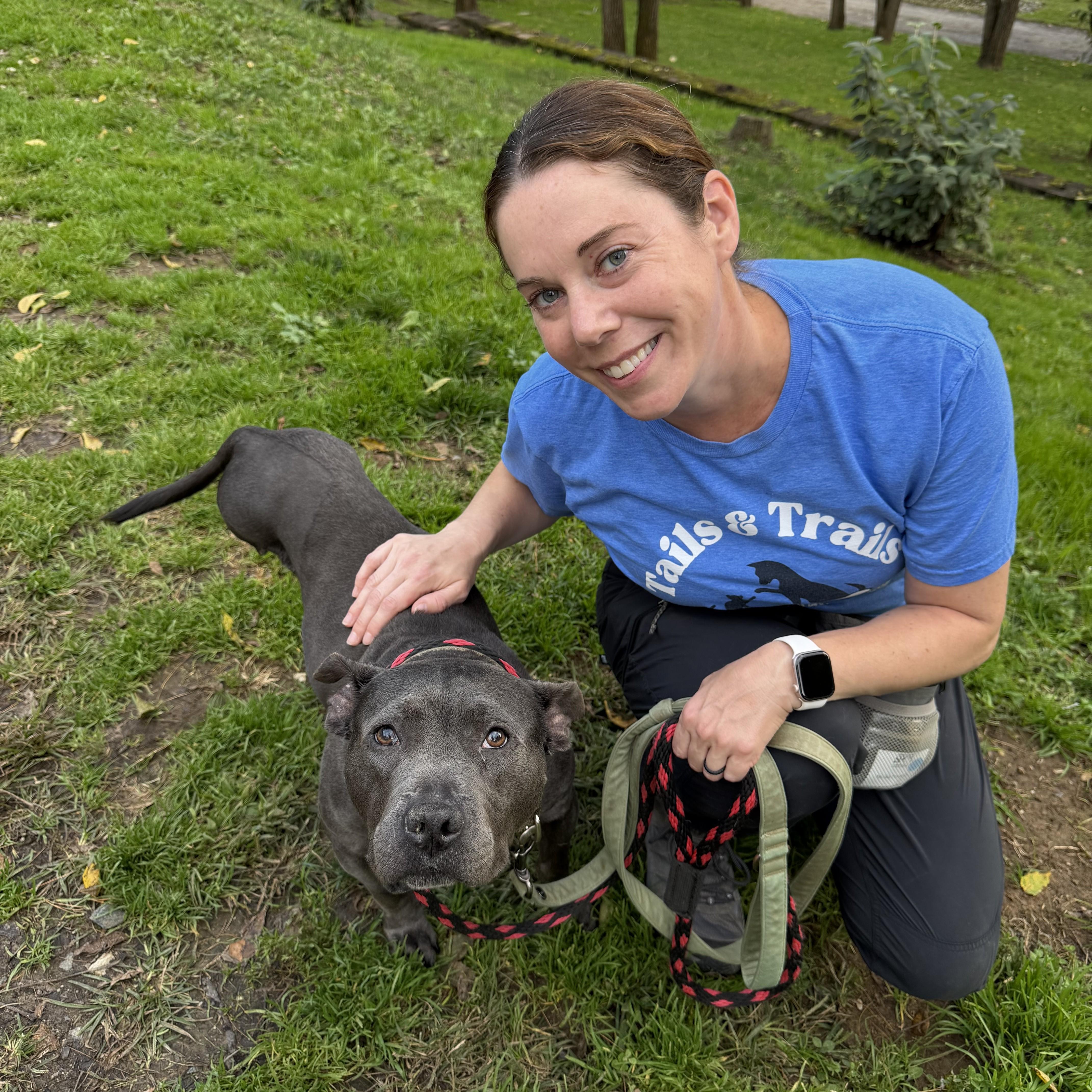 An adult medium-sized female Gray / Blue / Silver Pit Bull Terrier dog named Rozee for adoption in Phoenixville, PA