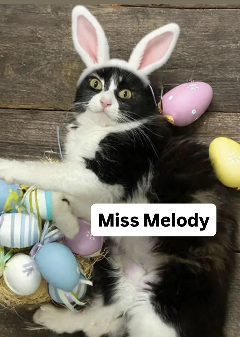 Miss Melody At Martinez