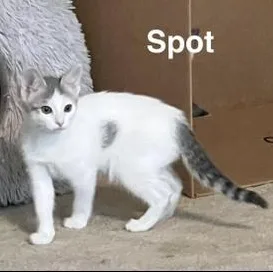 Spot thumbnail 6