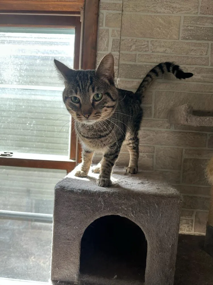 Demitri M. thumbnail 2