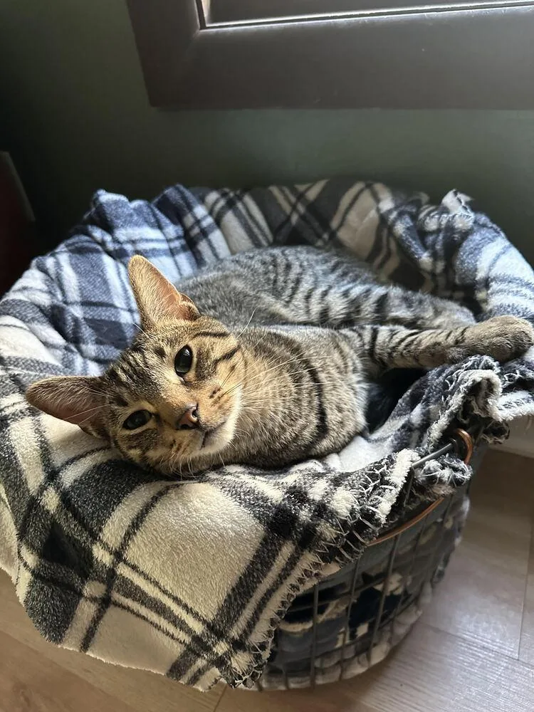 Demitri M. thumbnail 3