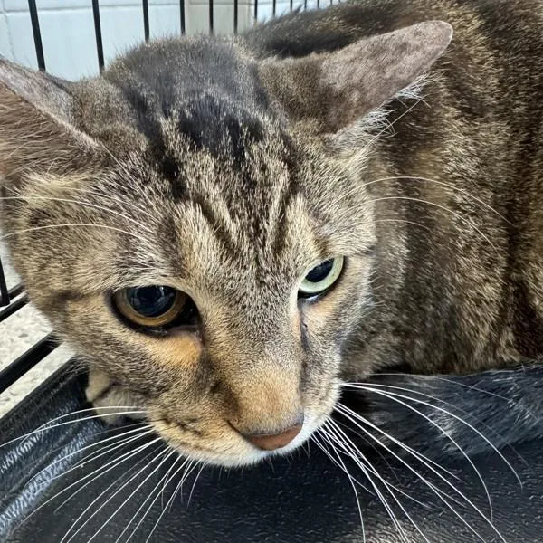 Charles  Bonded Buddy