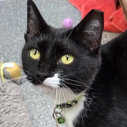 Fiona