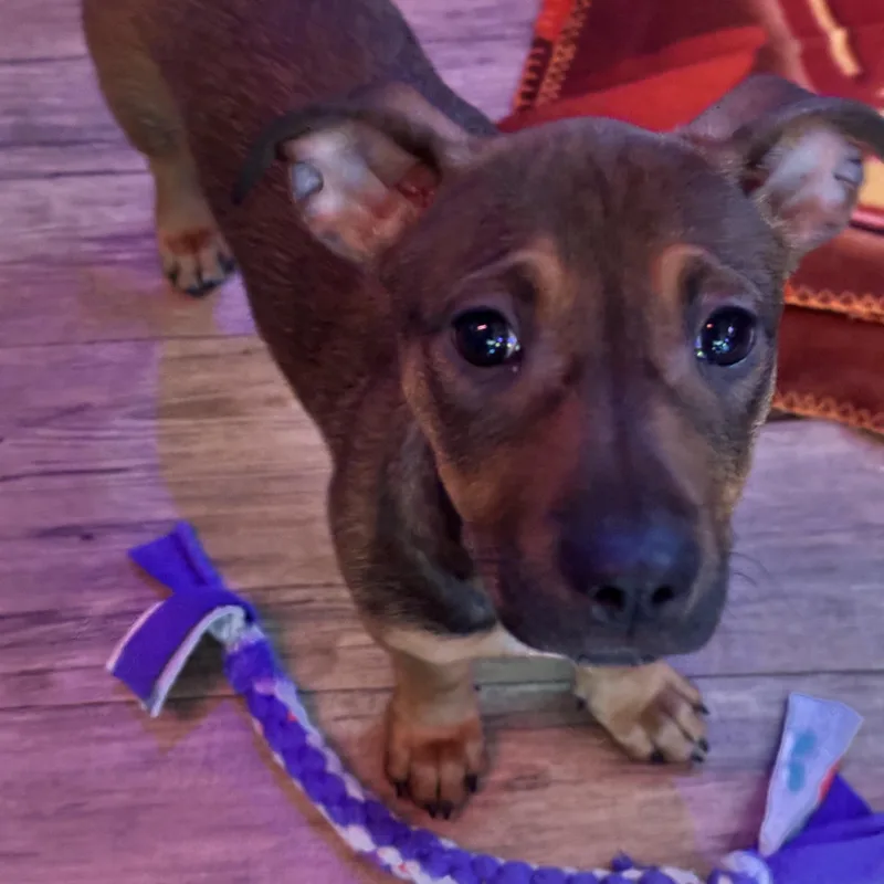 Mick thumbnail 2
