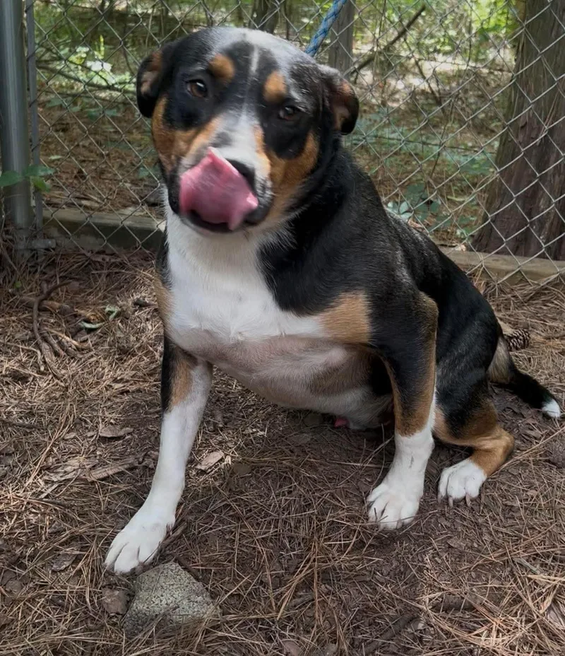 Johnny Ray thumbnail 3