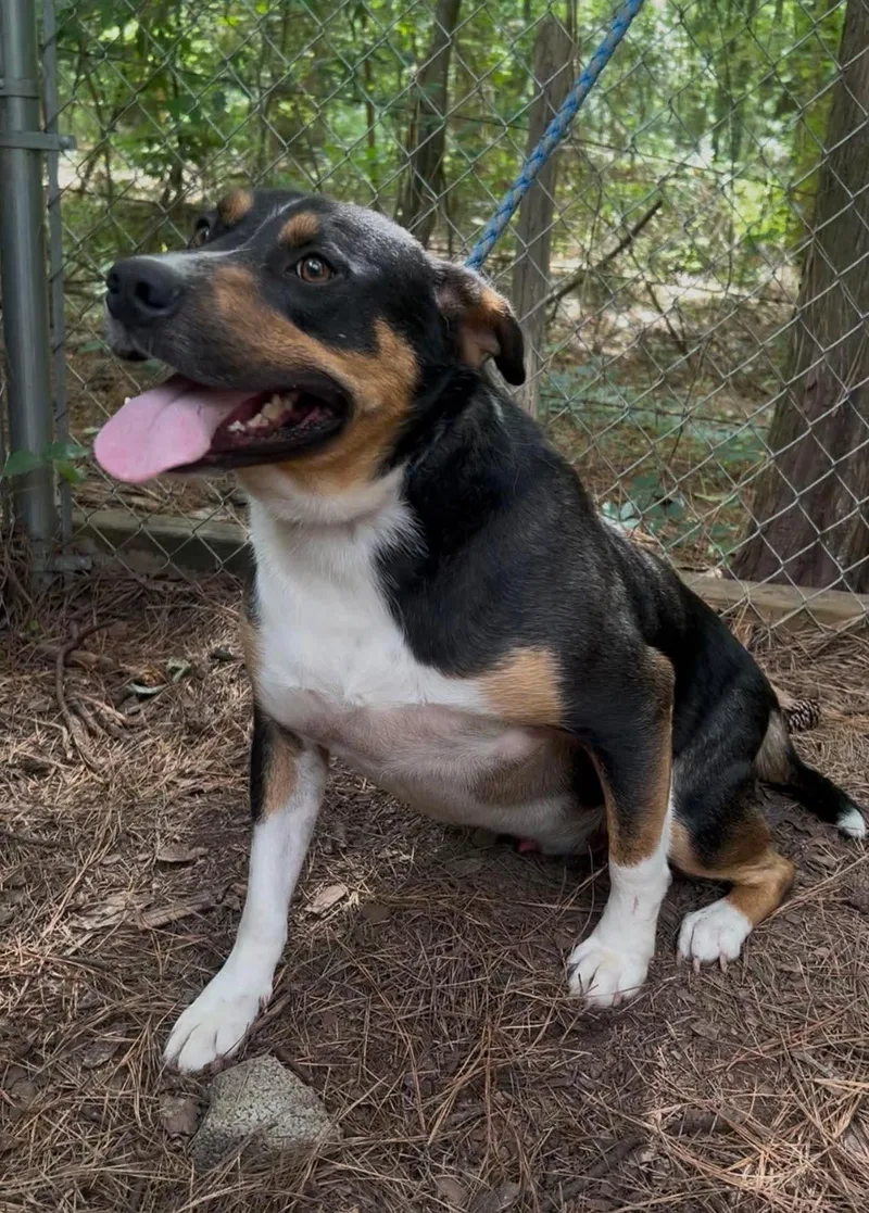 Johnny Ray thumbnail 5