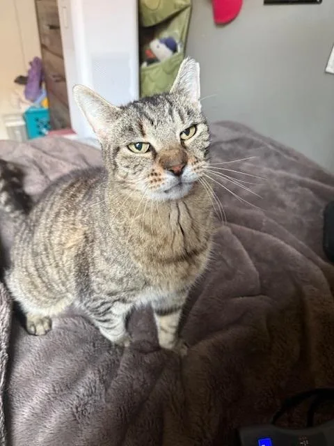 Faithful thumbnail 2