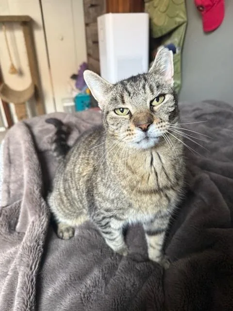 Faithful thumbnail 3