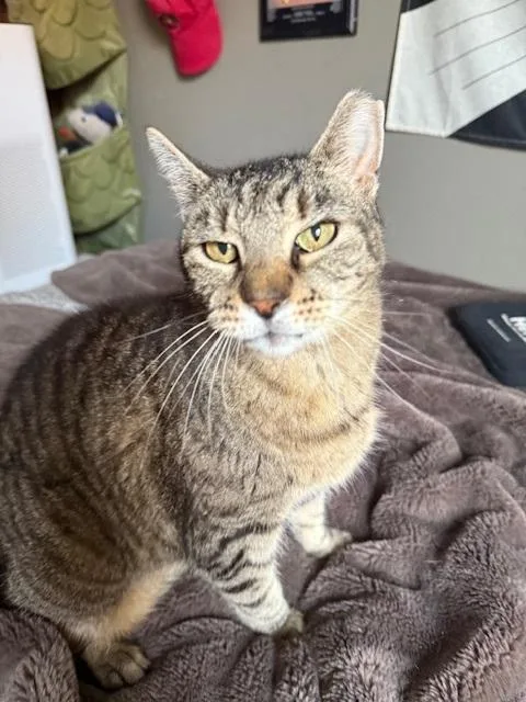 Faithful thumbnail 4