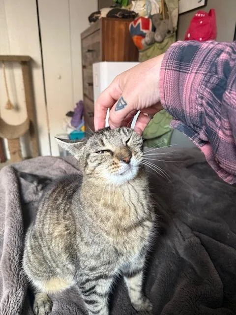 Faithful thumbnail 5