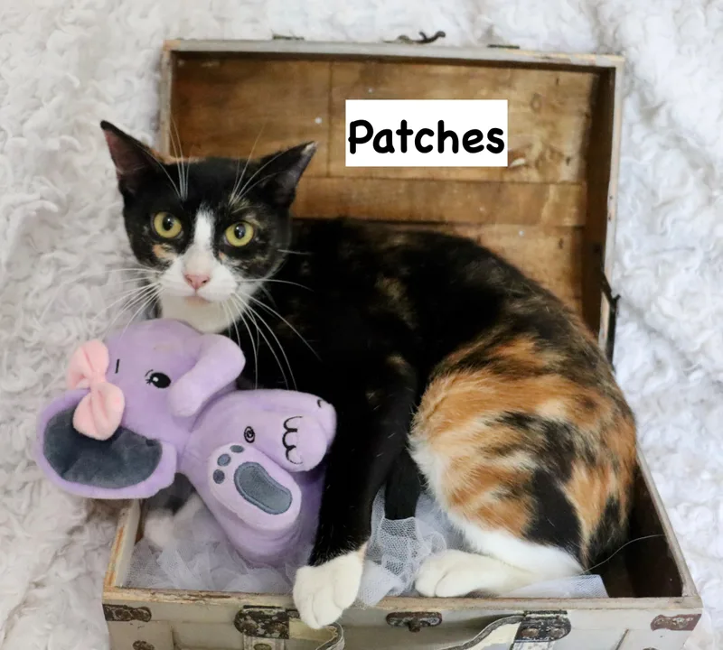Patches