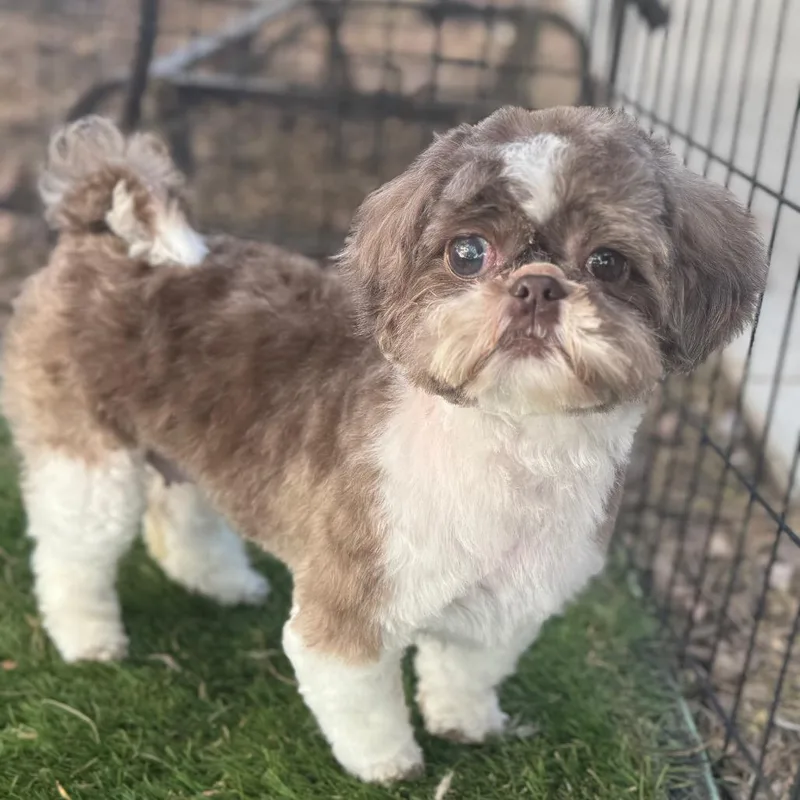 Tina
