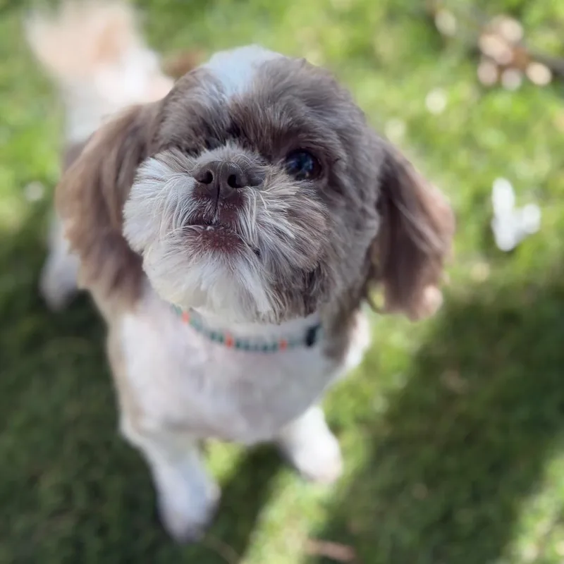 Tina thumbnail 5