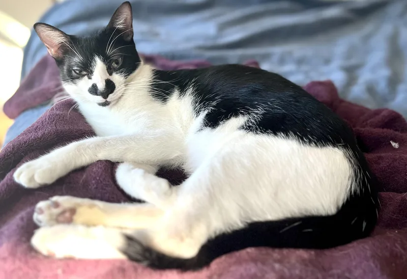 Jimmy Jr. thumbnail 4