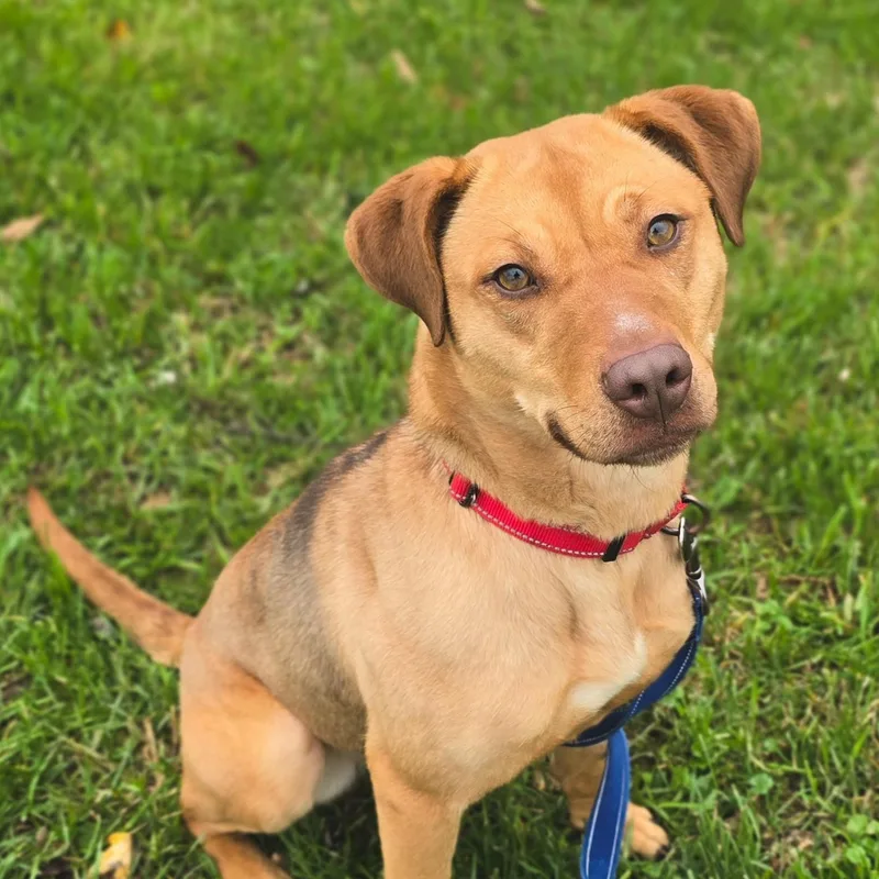 Jellyfish thumbnail 2