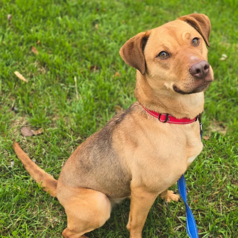 Jellyfish thumbnail 3