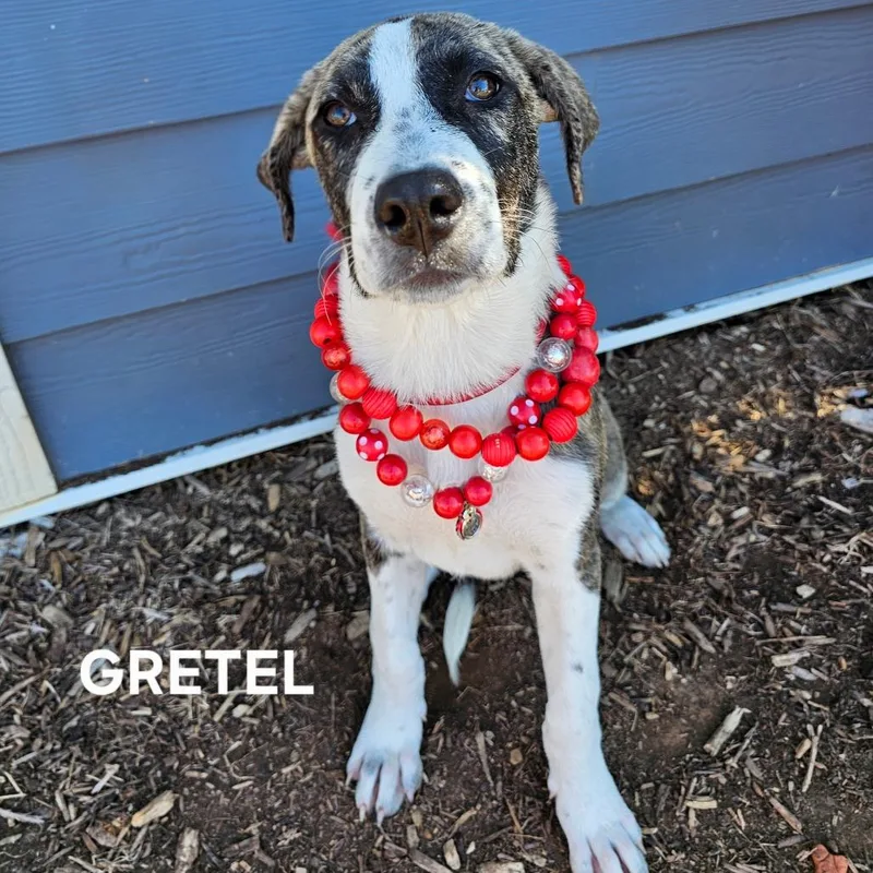 Gretel thumbnail 2