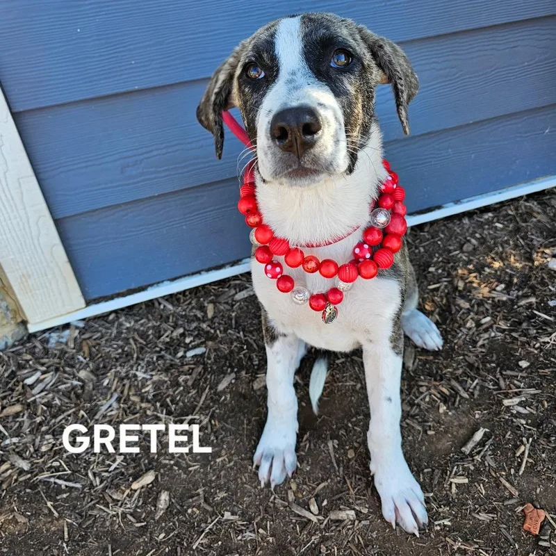 Gretel thumbnail 3