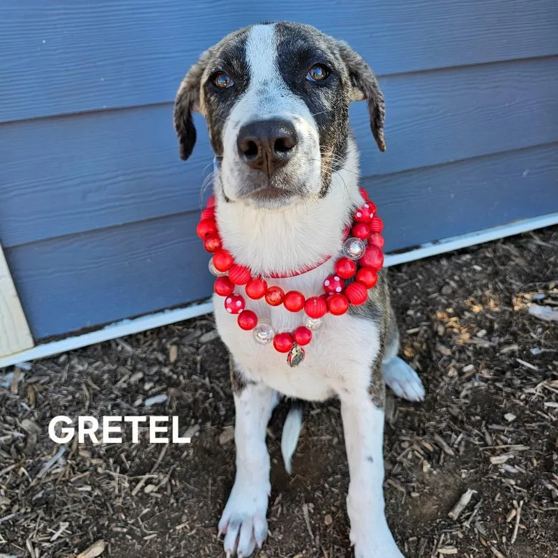 Gretel thumbnail 4