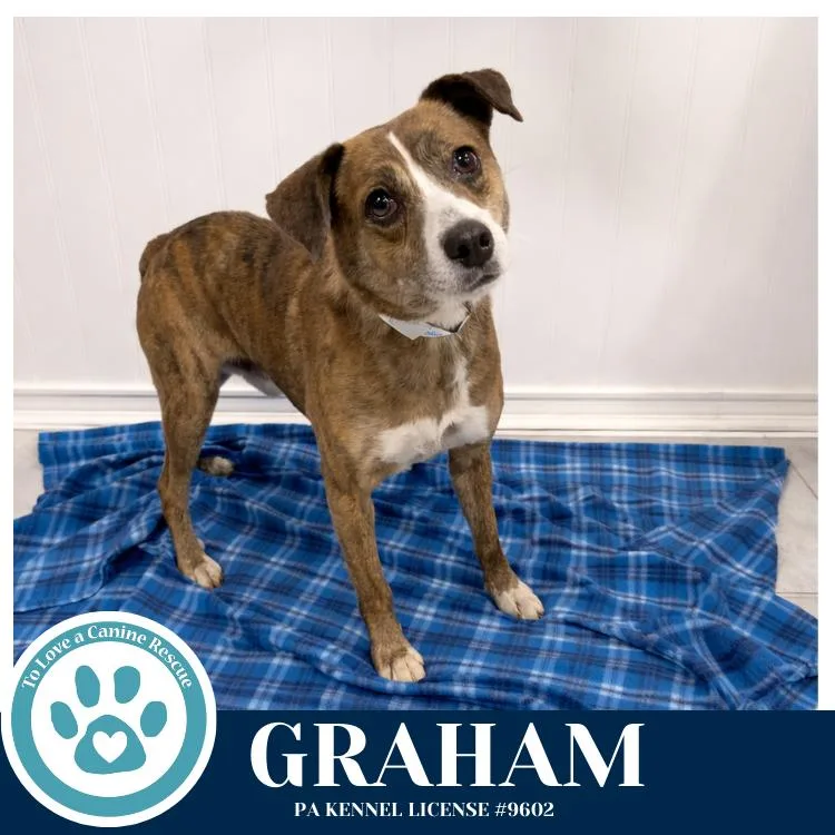 Graham
