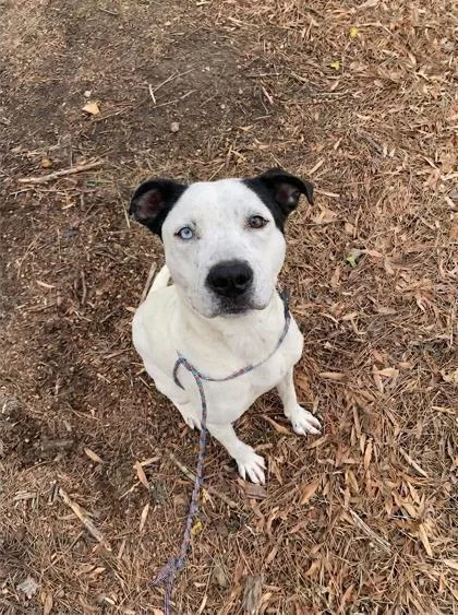 Mamma Mia thumbnail 3